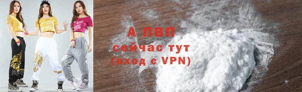 стафф Осинники