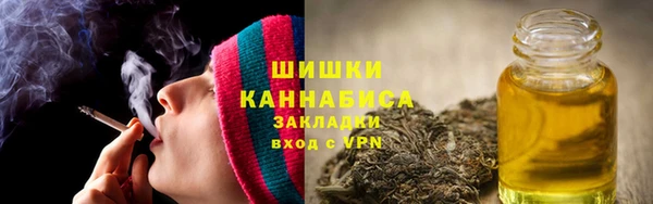 стафф Осинники