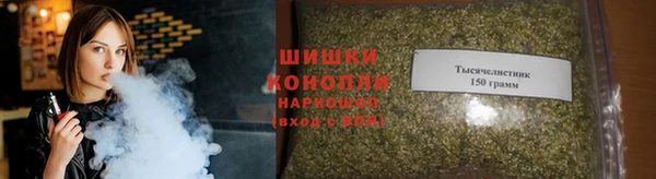 стафф Осинники