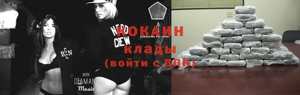 стафф Осинники