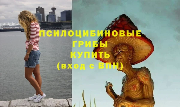 ПСИЛОЦИБИНОВЫЕ ГРИБЫ Вязники