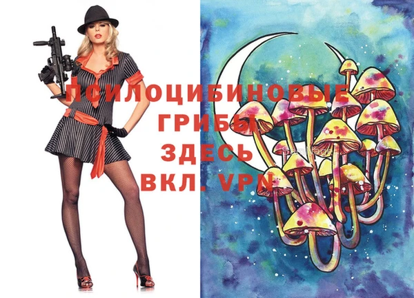 а пвп мука Осташков