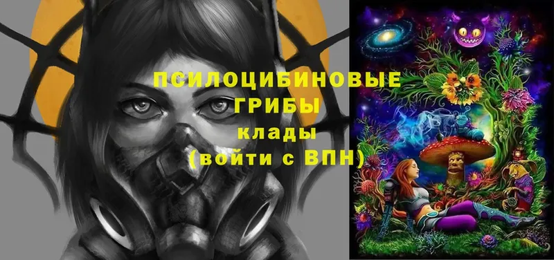 Псилоцибиновые грибы мухоморы  сайты даркнета состав  Аша  наркотики 