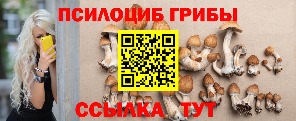 Аша  Галлюциногенные грибы Psilocybine cubensis  Вход с VPN 
